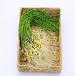 이나무 국내산 달래 세척 손질 달래 농장직송 300g 500g : 이나무저나무