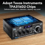 사이브로솔 AK45 스테레오 오디오 앰프, 300W 피크 파워 홈 2채널 무선 블루투스 앰프 FM 라디오, USB, SD 카드, 리모컨 시어터 시스템 포함... 