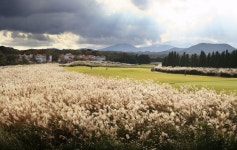 제주 에코랜트cc 1박2일 에코랜드호텔 12월 : 렛츠투어골프