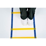 TOEI 라이트 스피드 사다리 cm 6개 15.7인치4 16.8피트4m 길이 너비 포함 G1631 4M 가방 보관 HG4 접시 21-TY : 트렌디구대5