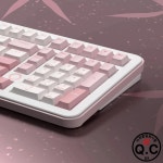 Wusikey Ff101 알루미늄 합금 기계식 키보드 맞춤형 트라이 모드 무선 대화 링 스위치 Rgb 핫 스왑 Pc : 알파인글로벌