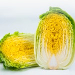 동네곳간 새벽경매 알배추 1통 : 동네곳간