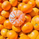 제주도 귤 서귀포 노지 타이벡 감귤 윈터프린스 조생 한라봉 레드향 제주도노지타이벡감귤 : 해남형제