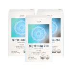 폴란드산 L 젖산 마그네슘 250 흡수율 높은 Mg 스틱 분말 레몬맛 30개입, 3개 : 조은영양팜