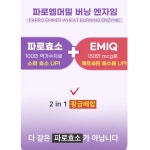 [지엔네이쳐] 100만 역가 뱃 살 지방분해효소 유기농 파로곡물 소화 잘되는 효소 3g 30포, 2개 : 주식회사 지엔네이쳐