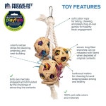 Prevue Pet Products Cluster of Toy Engage & Fun Forage - 60241 Bird Playfuls : 모던진아