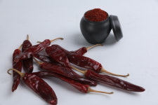 [신풍]  국산 오리지널 크래프트 - 230g 데일리 에디션 : 신풍SP 스토어