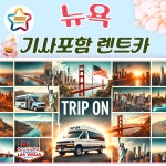 미국 뉴욕 프라이빗 택시 렌트카 (공항픽업가능 365일 견적) : 트립온