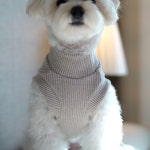 라떼골지 기모 티셔츠 따뜻한 국산 자체제작 강아지옷 루나몽 애견 반려견 의류 후리스 조끼 : Lunamong