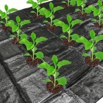 개방형 잡초 방지 천 -1x10미터+10개의 U자형 접지 못, 정원, 농장, 채소 등에서 제어에 적합합니다. : 커넥트 트레이드