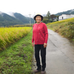 목련옷장 70대~110세 할머니 왕기모 엘레강스 진주스카프 니트티 생신선물 겨울외출복 요양원옷 경로당옷 마실룩 : 목련옷장