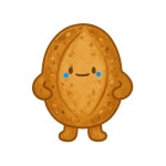 더브레드블루 속이 편한 통밀 발효종빵 : 더브레드블루