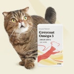 야옹섬 고양이 영양제 신장 오메가3 미니 KD파마 신부전 관리 2개월 : 야옹섬