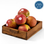 예산 엔비 사과 제철 엔부 nb envy 프리미엄 고급 사과 엠비 가정용 뉴질랜드 mb : 우리바다농수산