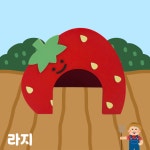 딸기 햄스터 은신처 하우스 (라지) : 햄보나
