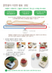 일라이트 양자온수매트 : 주식회사 코리아닥터