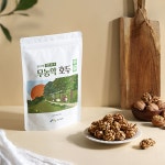 2025년 햇호두 국산 무농약 깐호두 농장직송 500g (250g+250g) : 안동 호두명가 대산농원