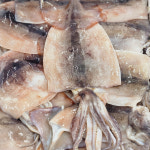 동해항에서 잡아올린 국내산 오징어  자연산 손질오징어 6미 : 주식회사 사라수산