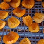 풍류원 감말랭이 500g 3팩 : 풍류원티비