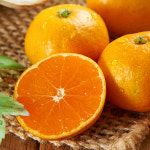 [형원농장] 제주 산지직송 과즙폭탄 조생 노지감귤 9kg (2s소과 과수당 40-65g) : 어셈쇼핑