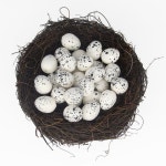 짚으로 엮은 둥지 현봉참새 멧비둘기 진주 식물 등나무 작은 번식 보온 용품 미니 새둥지 외경 10CM 1개 : 파스텔잡화점