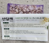 달래종구 약25g 내외 (약50립) : 두레농약종묘센터