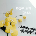 [온라인] 키키의 작업실 호접란 페이퍼 플라워 케이크토퍼 화분토퍼 창업 클래스 : 키키의작업실