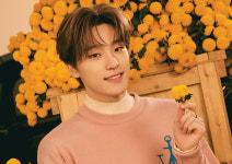 디노 세븐틴 포스터 드라마 영화 제작 소품 인테리어 감성 아트 WSR-H0574 A4 : 호봉이네