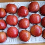 무주 반딧불사과 산지직송 10kg : 무주 반딧불 사과 농장