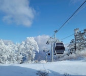 [역장투어-당일여행] 정선 가리왕산 케이블카 상고대 눈꽃 강릉 커피거리 안목해변 기차여행 : 역장투어