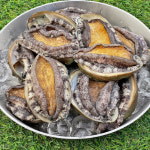 국내산 완도 생물 참전복 1kg내외 (9-10미내외) 횟감 구이 찜 : 싱싱한 청춘수산