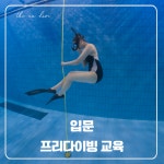 프리다이빙 강습 입문 (1 레벨) 과정 성남 용인 교육 : 디안다이브