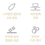 세모 새앗시볼 스쿠아 중건성 4종 화장품세트 스쿠알란 화장품 : 시즌글라스수성점