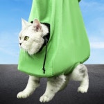 산들숲 다용도 애견 이동가방 강아지 고양이 산책 외출 숄더백 36x36x16cm : 산들나무숲