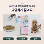 닥터바이 강아지 덴탈껌 치태 치석 입냄새 제거 치약 양치껌 비욘드츄, 소중형, 2개 : 닥터바이