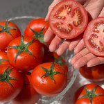 [산지직송_국내산] 프리미엄 유럽종 완숙 토마토 2kg~3kg : 식품을 대하는 따뜻한 온기