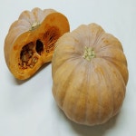 국내산 냉동 손질 깐 늙은호박 맷돌호박 10kg 각 : 금성농산
