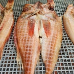 군산 반건조 박대 서대 구이 말린 생선 뽈락 대 특대 : 녹도수산