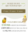 아비라이프 데일리조이 혼합 앵무새 사료 모란 코뉴어 퀘이커 알곡 모이 먹이1kg : 버드플라잉