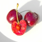 칠레산 생체리 생과 특대 9/9.5row 500g 1kg : 히포펀치