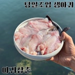 당일조업 생아귀 꼬리살 꼬릿살 1kg 손질 아귀 안키모 아귀간 대창 찜 탕 수육 매운탕 : 아귀삼촌