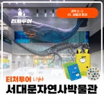 티처투어 서대문자연사박물관 도슨트 : 티처투어