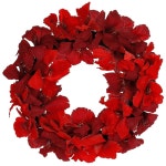 KUIEM 크리스마스 화환, 22-24인치 빨간색 아마릴리스 꽃 겨울-유니트를 위한 겨울 화환 실내 야외 홀리데이 장식 Red : 도도딜