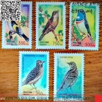 5개/대 새로운 러시아 우표 1995 희귀 한 MNH : 코어총판