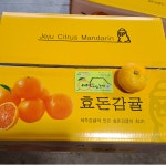 효돈감귤 10kg,5kg : VIP한라봉농장