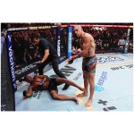 알렉스 페레이라 포스터 스티커 UFC MMA 격투기 벽장식 접착식 브로마이드 그림 사진 : 홀오브페임