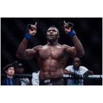 은가누 포스터 스티커 UFC MMA 격투기 벽장식 접착식 브로마이드 벽지 그림 사진 : 홀오브페임