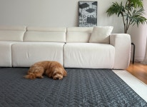 한일의료기 탄소 전기매트 안전한 국산 전기요 세탁가능 가정용 전기장판 1인용 그레이 싱글 : 명성포장자재