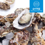 산지직송 제철 통영 굴 각굴 석화 2kg 4kg : 숨비해물