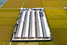 [성우농장] 성우담은란 동물복지 무항생제 당일산란한 대추유정란 60구 : 성우담은란